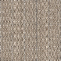 J233 Savane Coconut